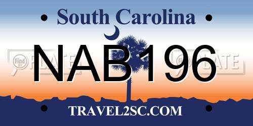 NAB196 South Carolina License Plate