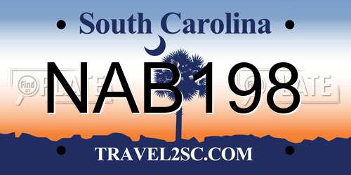 NAB198 South Carolina License Plate
