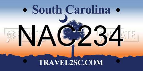 NAC234 South Carolina License Plate