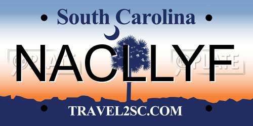 NACLLYF South Carolina License Plate