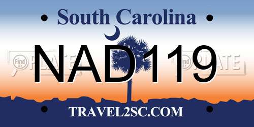 NAD119 South Carolina License Plate