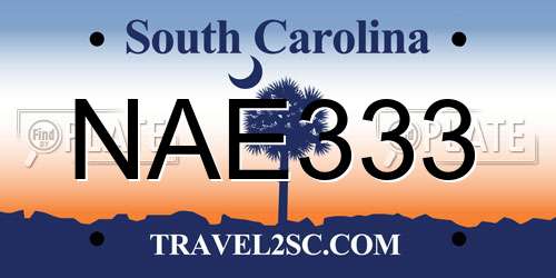 NAE333 South Carolina License Plate