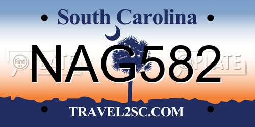 NAG582 South Carolina License Plate