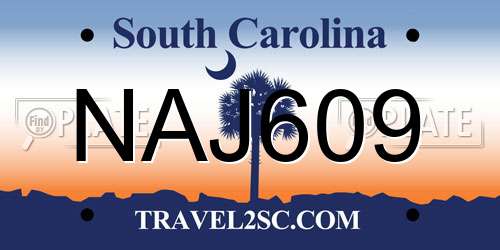 NAJ609 South Carolina License Plate