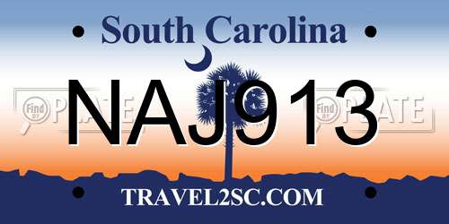 NAJ913 South Carolina License Plate