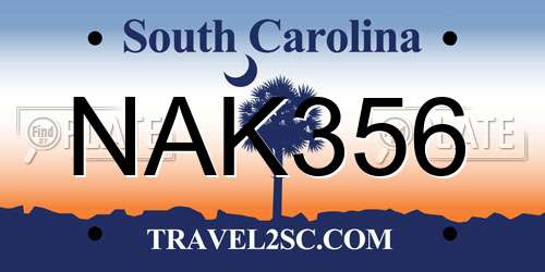 NAK356 South Carolina License Plate