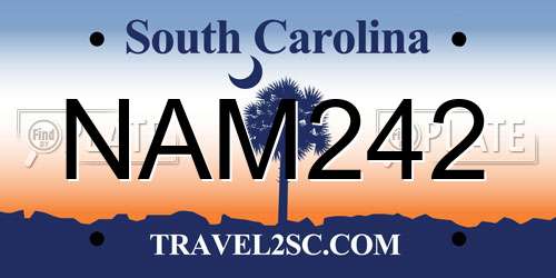NAM242 South Carolina License Plate