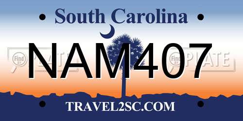 NAM407 South Carolina License Plate