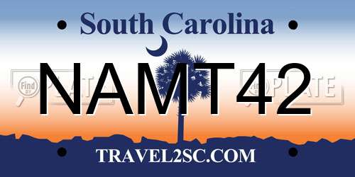 NAMT42 South Carolina License Plate
