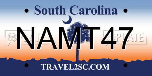 NAMT47 South Carolina License Plate