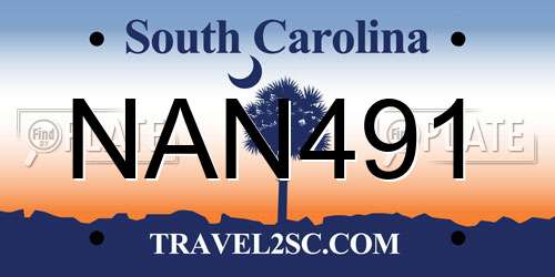 NAN491 South Carolina License Plate