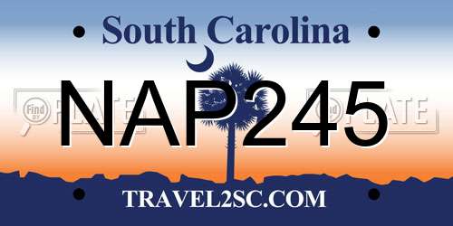 NAP245 South Carolina License Plate