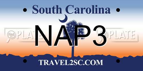 NAP3 South Carolina License Plate