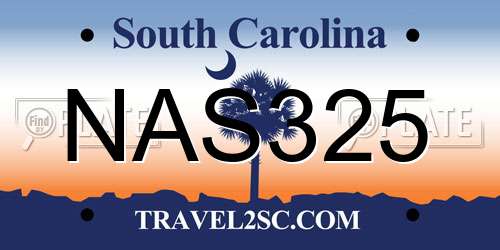 NAS325 South Carolina License Plate