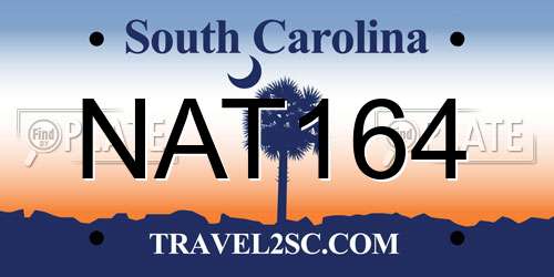 NAT164 South Carolina License Plate