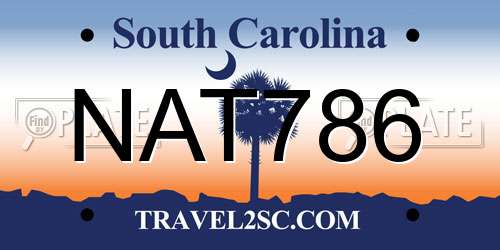 NAT786 South Carolina License Plate