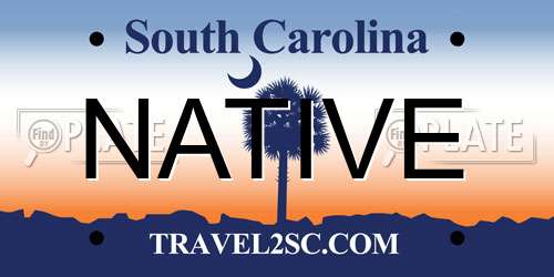 NATIVE South Carolina License Plate