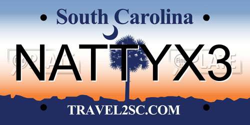 NATTYX3 South Carolina License Plate