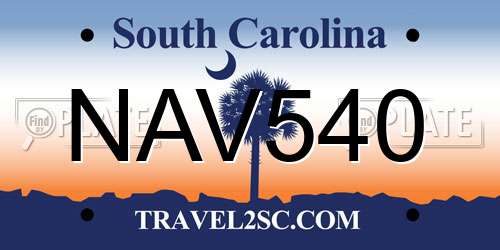 NAV540 South Carolina License Plate