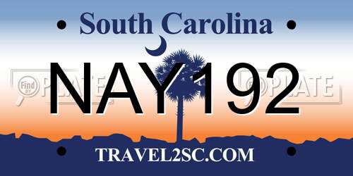 NAY192 South Carolina License Plate