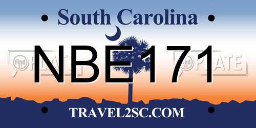 NBE171 South Carolina License Plate