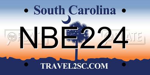 NBE224 South Carolina License Plate