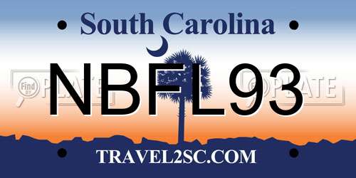 NBFL93 South Carolina License Plate