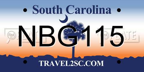 NBG115 South Carolina License Plate