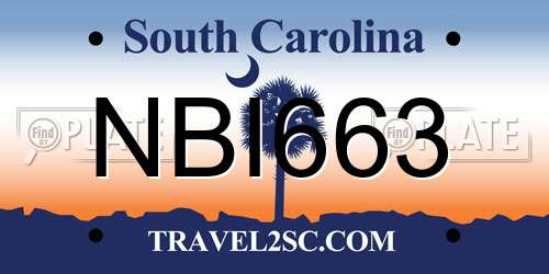 NBI663 South Carolina License Plate