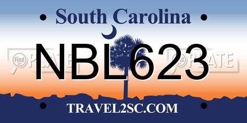 NBL623 South Carolina License Plate