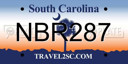 NBR287 South Carolina License Plate