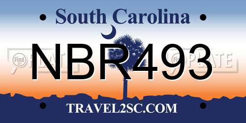 NBR493 South Carolina License Plate