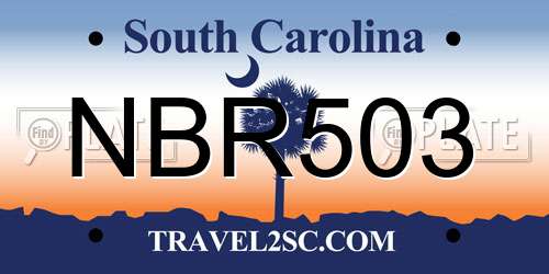 NBR503 South Carolina License Plate
