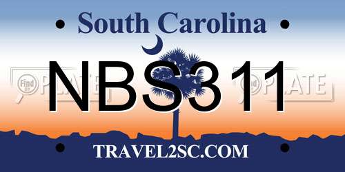 NBS311 South Carolina License Plate