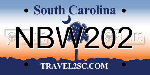 NBW202 South Carolina License Plate