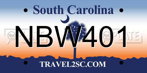 NBW401 South Carolina License Plate