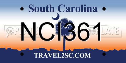 NCI361 South Carolina License Plate