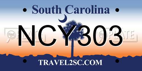 NCY303 South Carolina License Plate