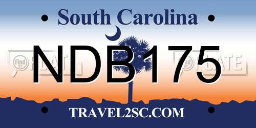 NDB175 South Carolina License Plate