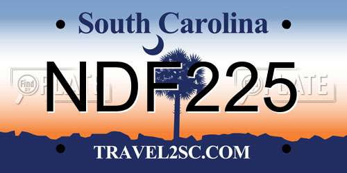 NDF225 South Carolina License Plate