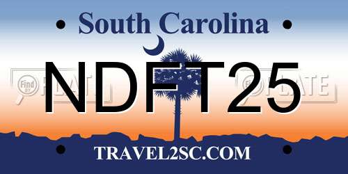 NDFT25 South Carolina License Plate