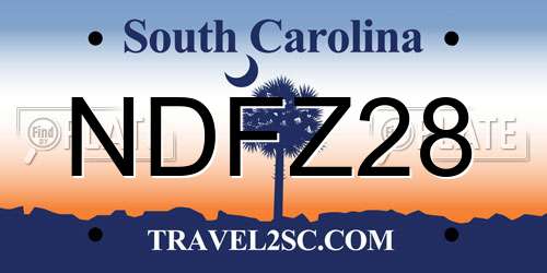 NDFZ28 South Carolina License Plate