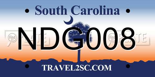 NDG008 South Carolina License Plate