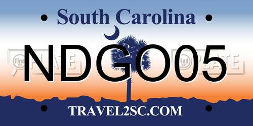 NDGO05 South Carolina License Plate