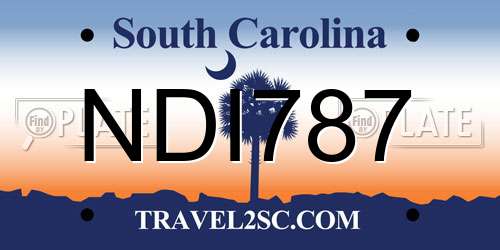 NDI787 South Carolina License Plate