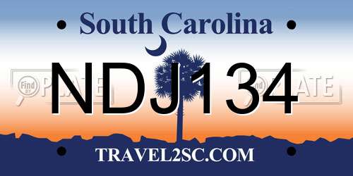 NDJ134 South Carolina License Plate