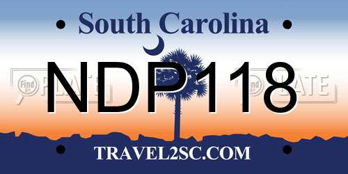 NDP118 South Carolina License Plate