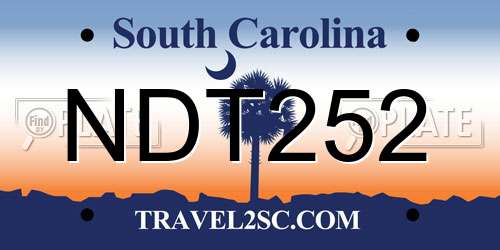 NDT252 South Carolina License Plate