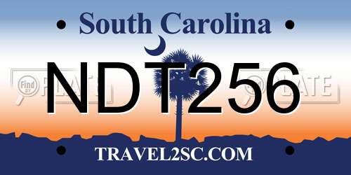NDT256 South Carolina License Plate
