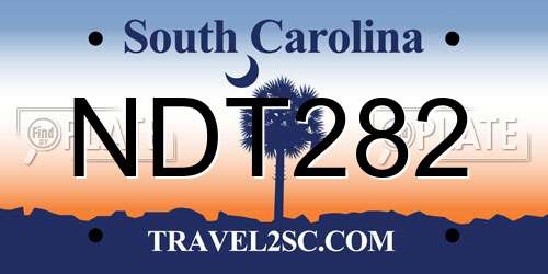 NDT282 South Carolina License Plate